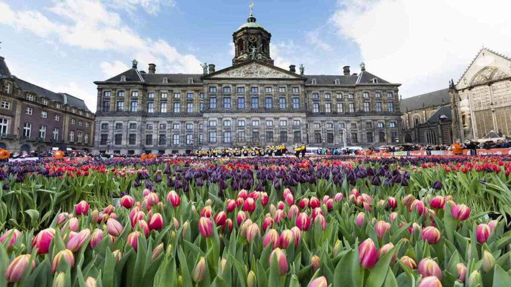 rolay palace in amsterdam